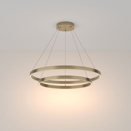 Maytoni MOD058PL-L74BS3K - LED Lustr na lanku RIM LED/88W/230V 3000K pr. 80 cm zlatá