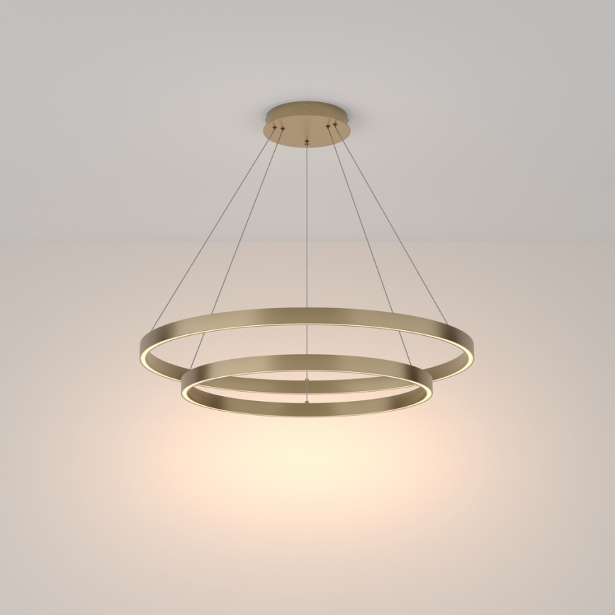 Maytoni MOD058PL-L74BS3K - LED Lustr na lanku RIM LED/88W/230V 3000K pr. 80 cm zlatá