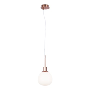Maytoni MOD221-PL-01-G - Lustr na lanku ERICH 1xE14/40W/230V měděná