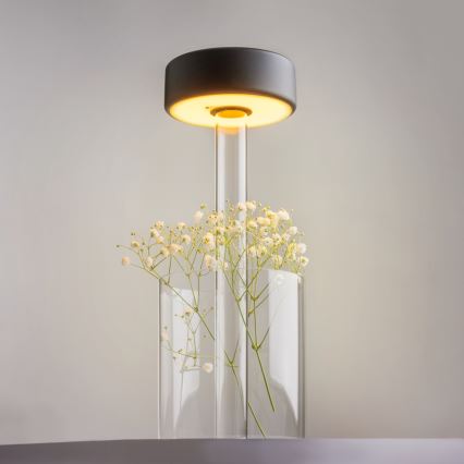 Maytoni MOD229TL-L3B3K1 - LED Stmívatelná nabíjecí přenosná stolní lampa LED/3W/5V 2200-4000K černá/čirá