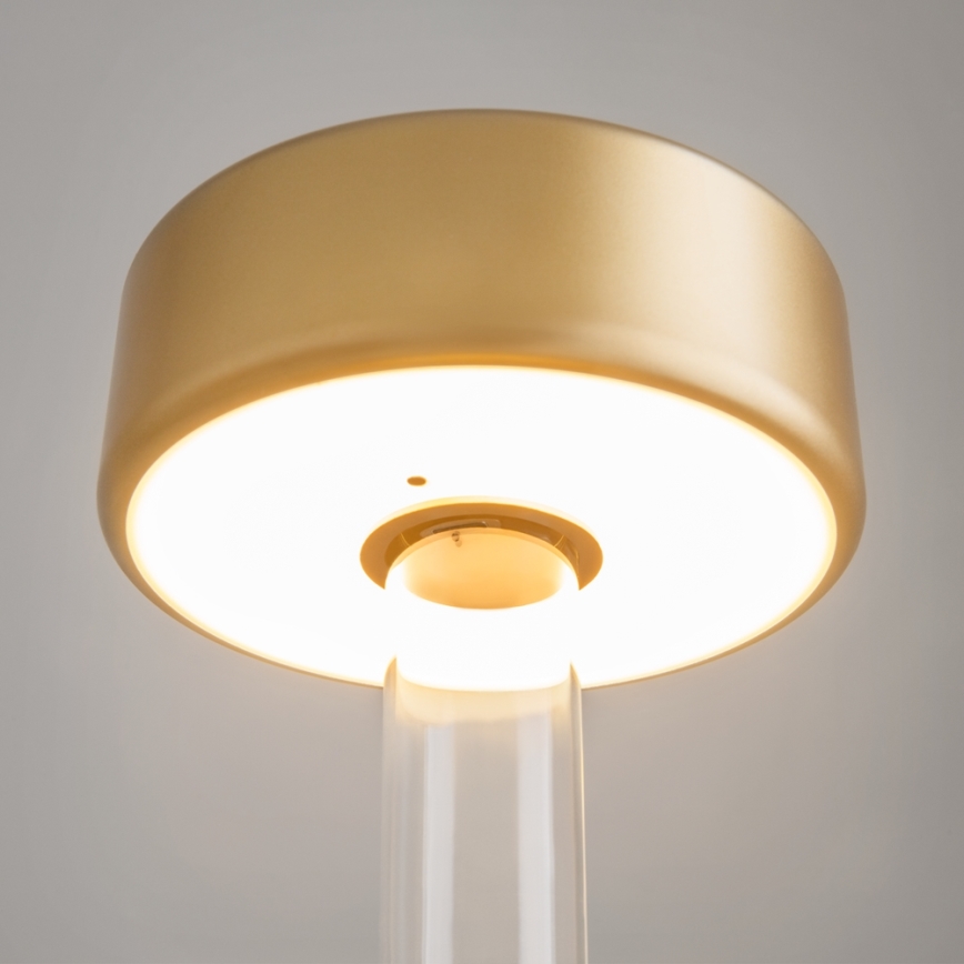 Maytoni MOD229TL-L3G3K1 - LED Stmívatelná nabíjecí přenosná stolní lampa LED/3W/5V 2200-4000K zlatá/čirá