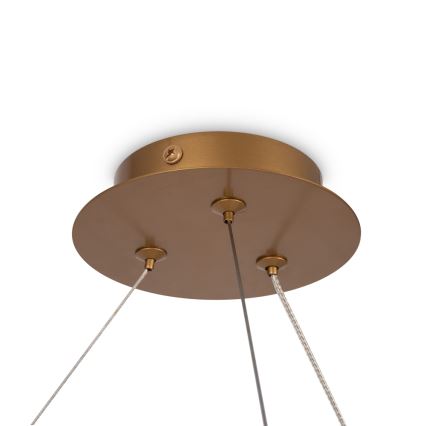 Maytoni MOD317PL-06G - Lustr na lanku BALANCE 6xG9/40W/230V měděná