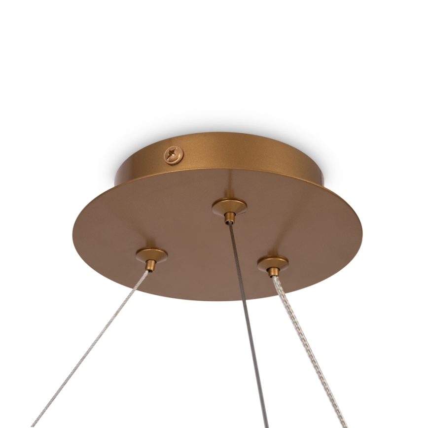 Maytoni MOD317PL-06G - Lustr na lanku BALANCE 6xG9/40W/230V měděná