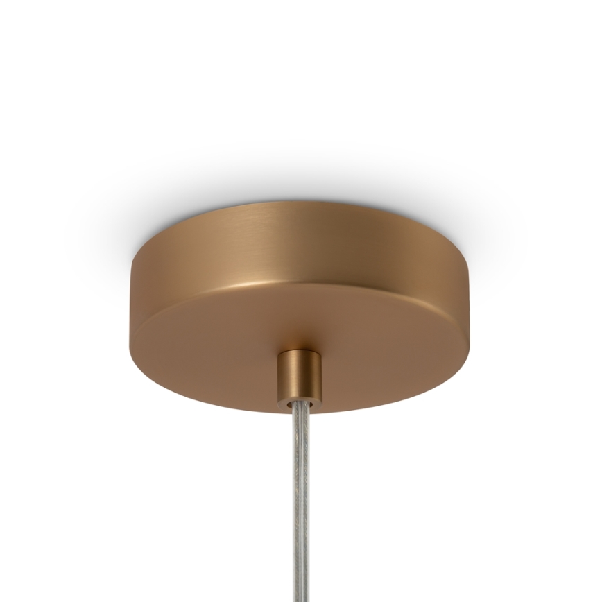Maytoni MOD321PL-01G1 - Lustr na lanku BASIC 1xE14/40W/230V zlatá