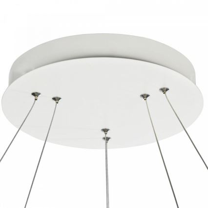 Maytoni - LED Lustr na lanku NOLA LED/85W/230V