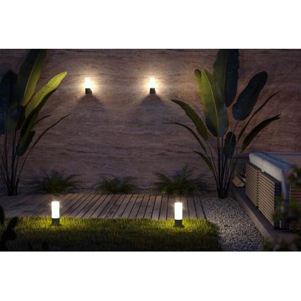 Maytoni O418FL-01B - Venkovní lampa WILLIS 1xE27/60W/230V 30 cm IP54 černá