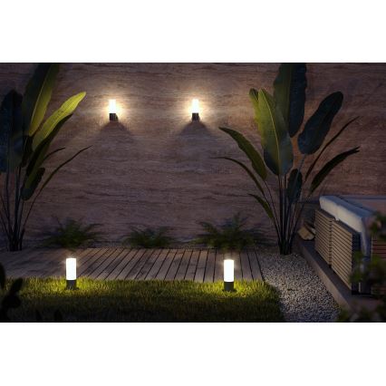 Maytoni O418WL-01B - Venkovní nástěnné svítidlo WILLIS 1xE27/60W/230V IP54 černá