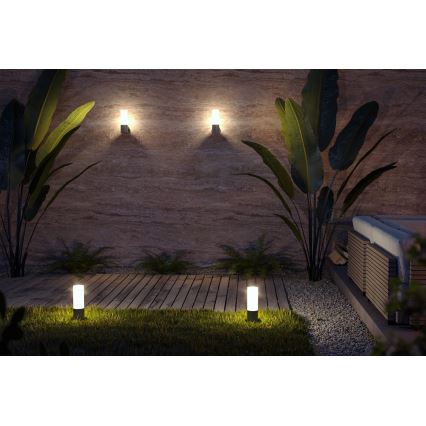 Maytoni O418WL-01GR - Venkovní nástěnné svítidlo WILLIS 1xE27/60W/230V IP54 antracit