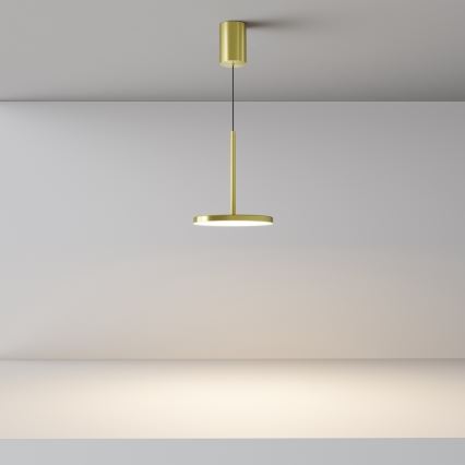Maytoni P076PL-L12W3K-BS - LED Lustr na lanku PLATO LED/12W/230V 3000K zlatá
