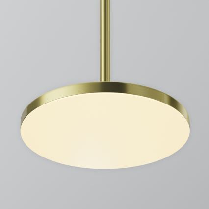 Maytoni P076PL-L12W3K-BS - LED Lustr na lanku PLATO LED/12W/230V 3000K zlatá