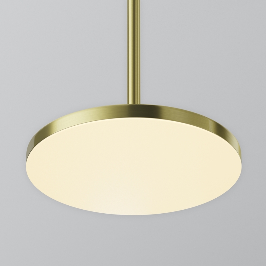 Maytoni P076PL-L12W3K-BS - LED Lustr na lanku PLATO LED/12W/230V 3000K zlatá