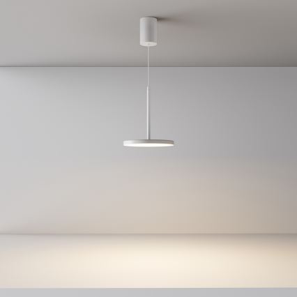 Maytoni P076PL-L12W3K-W - LED Lustr na lanku PLATO LED/12W/230V 3000K bílá
