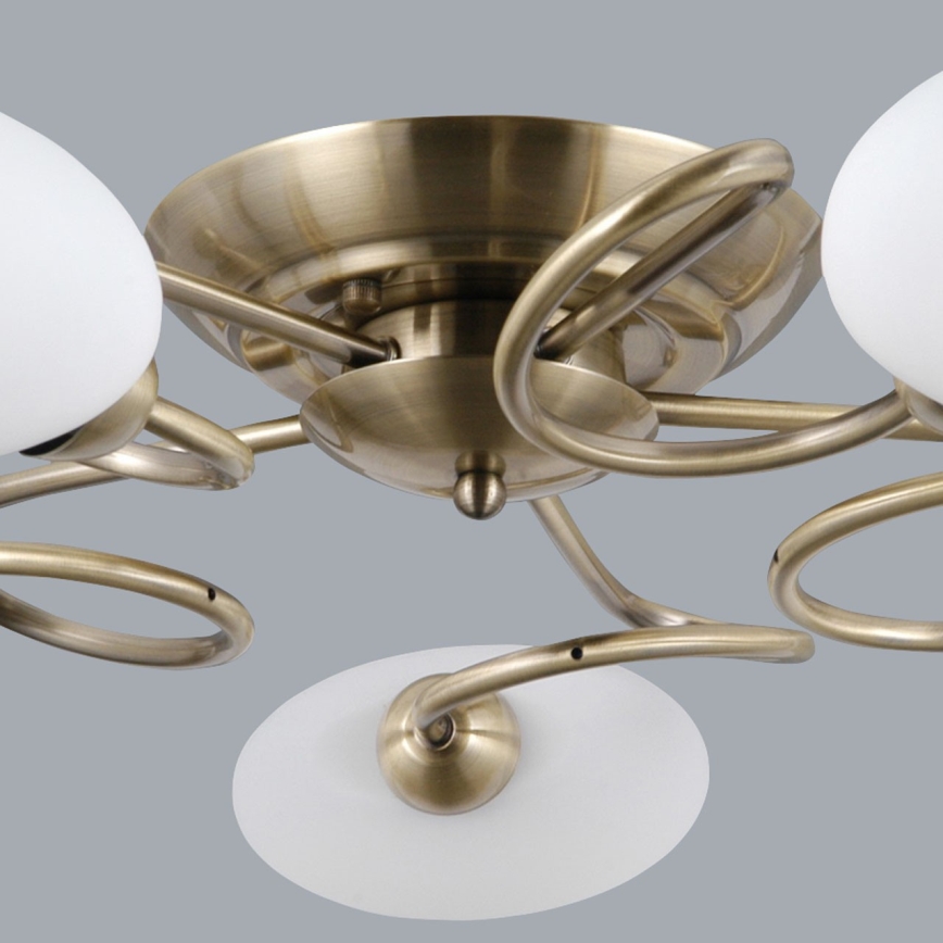 MW-LIGHT 267011805 - Přisazený lustr SABRINA 5xE14/40W/230V mosaz