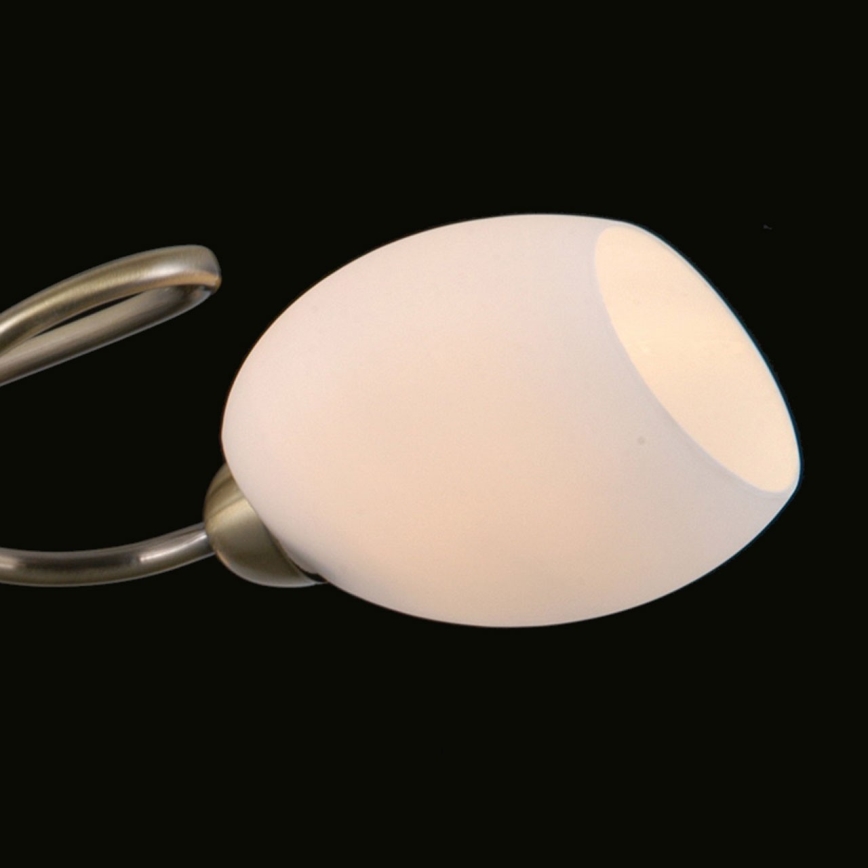 MW-LIGHT 267014403 - Přisazený lustr SABRINA 3xE14/40W/230V mosaz