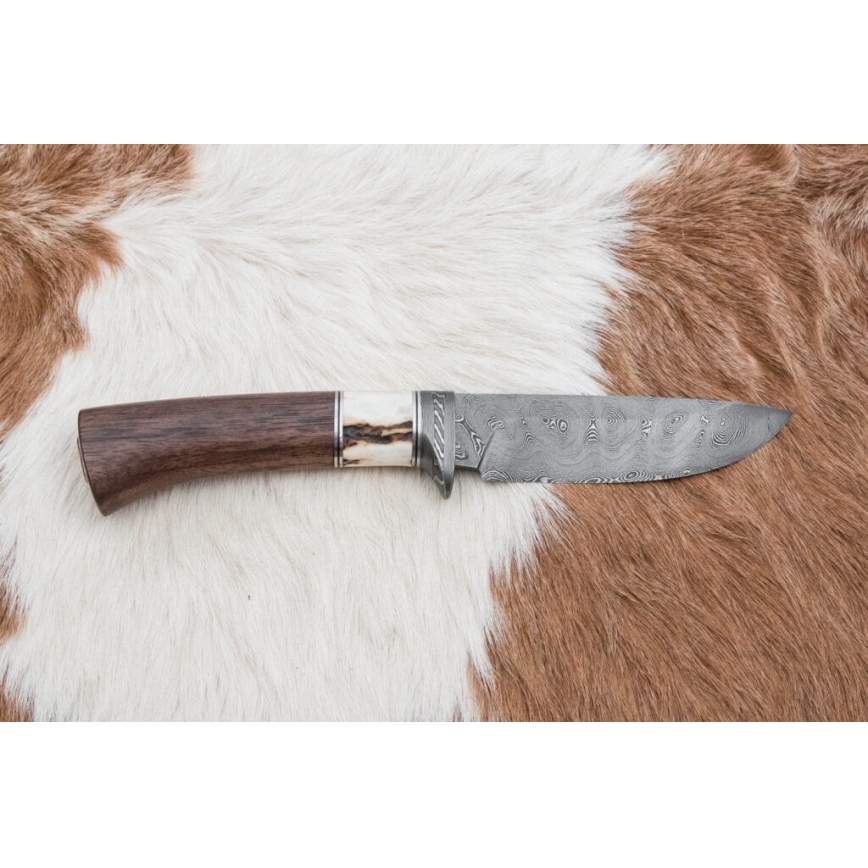 Myslivecký damaškový nůž 11,8 cm ořech/jelení paroh
