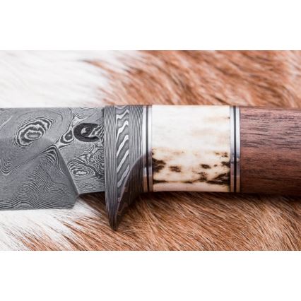 Myslivecký damaškový nůž 11,8 cm ořech/jelení paroh