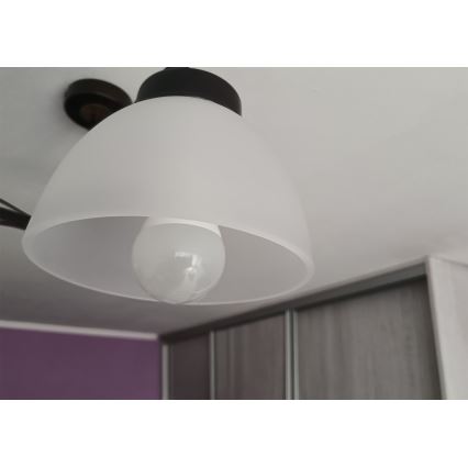 Náhradní sklo k lustru E27 pr. 18 cm mléčné sklo
