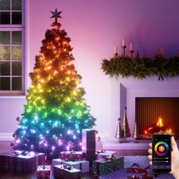 Nanoleaf - LED RGBW Venkovní  řetěz ESSENTIALS 300xLED 2x12m 2700-6500K Wi-Fi IP67