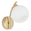 Nástěnná lampa AMOS 1xE27/40W/230V zlatá