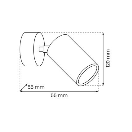 Nástěnné bodové svítidlo HUDSON 1xGU10/8W/230V bílá