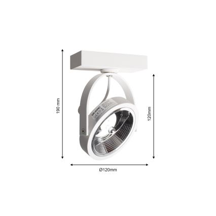 Nástěnné bodové svítidlo LUGAR 1xAR111 - GU10/25W/230V
