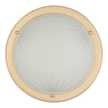 Nástěnné stropní svítidlo 1xE27/60W/230V