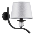 Nástěnné svítidlo BARNI 1xE14/10W/230V černá/stříbrná