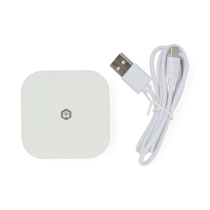 Chytrá brána SmartLife 5V Wi-Fi