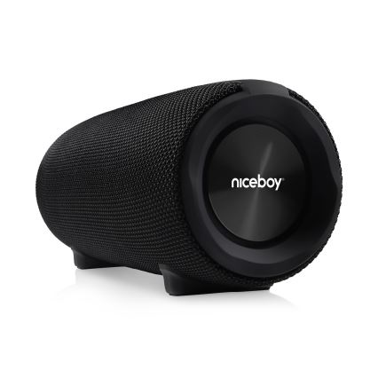 Niceboy Titan 4 - LED Bezdrátový reproduktor s mikrofonem a funkcí powerbanky 50W/4000 mAh IPX7 černá