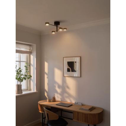 Nordlux - LED Přisazený lustr CLYDE 4xLED/4W/230V