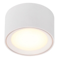Nordlux - LED Stmívatelné bodové svítidlo FALLON LED/5,5W/230V bílá