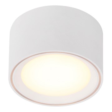 Nordlux - LED Stmívatelné bodové svítidlo FALLON LED/5,5W/230V bílá