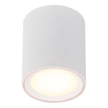 Nordlux - LED Stmívatelné bodové svítidlo FALLON LONG LED/5,5W/230V bílá