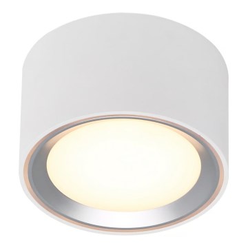 Nordlux - LED Stmívatelné stropní svítidlo FALLON LED/5,5W/230V 2700K bílá