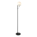 Nordlux - Stojací lampa WILSON 1xG9/5W/230V černá