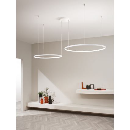 Ondaluce - LED Stmívatelný lustr na lanku SOEL LED/28W/230V + LED/38W pr. 80/60 cm bílá