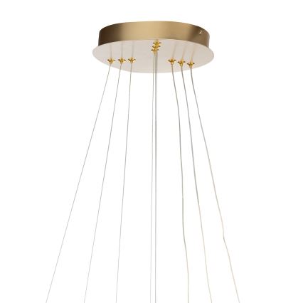 ONLI - LED Lustr na lanku NOELIA LED/40W/230V zlatá