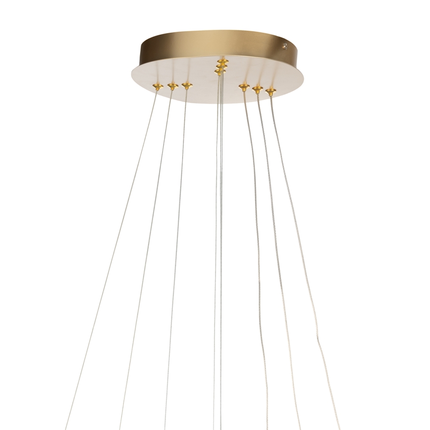 ONLI - LED Lustr na lanku NOELIA LED/40W/230V zlatá