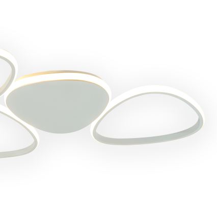 ONLI - LED Stropní svítidlo ROMEO LED/48W/230V 4000K bílá