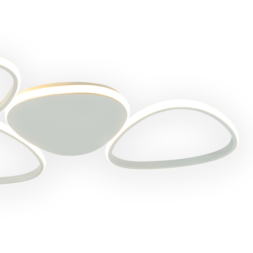 ONLI - LED Stropní svítidlo ROMEO LED/48W/230V 4000K bílá