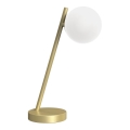 ONLI - Stolní lampa PALOMA 1xG9/10W/230V 38,5 cm zlatá