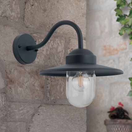 Venkovní nástěnná lampa EDWARD 1xE27/60W/230V IP44 černá