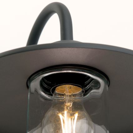Venkovní nástěnná lampa EDWARD 1xE27/60W/230V IP44 černá