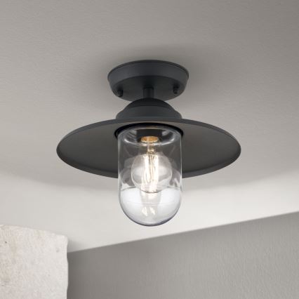 Venkovní přisazený lustr EDWARD 1xE27/60W/230V IP44 černá