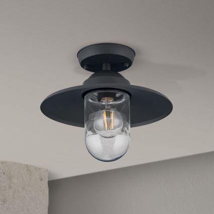 Venkovní přisazený lustr EDWARD 1xE27/60W/230V IP44 černá