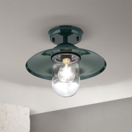 Venkovní přisazený lustr EDWARD 1xE27/60W/230V IP44 zelená
