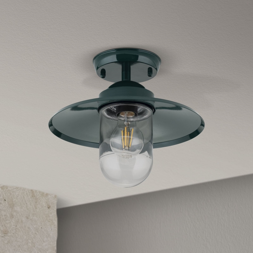 Venkovní přisazený lustr EDWARD 1xE27/60W/230V IP44 zelená