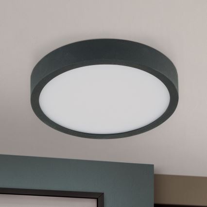 LED Stropní svítidlo BULLY LED/12W/230V pr. 14 cm černá