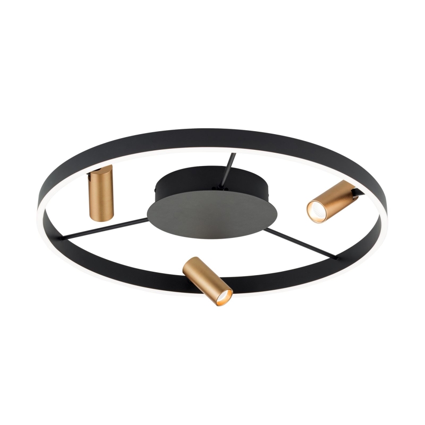 LED Stmívatelné stropní svítidlo BERLIN LED/50W/230V černá/zlatá