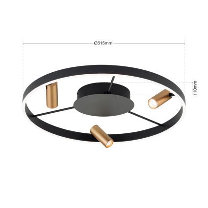 LED Stmívatelné stropní svítidlo BERLIN LED/50W/230V černá/zlatá